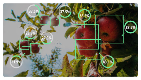 Image detection