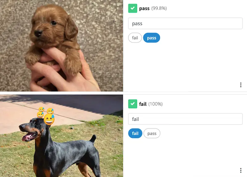Nyckel console: a puppy photo passes at 99.8% confidence, a dog photo with emoji stickers over it fails at 100%